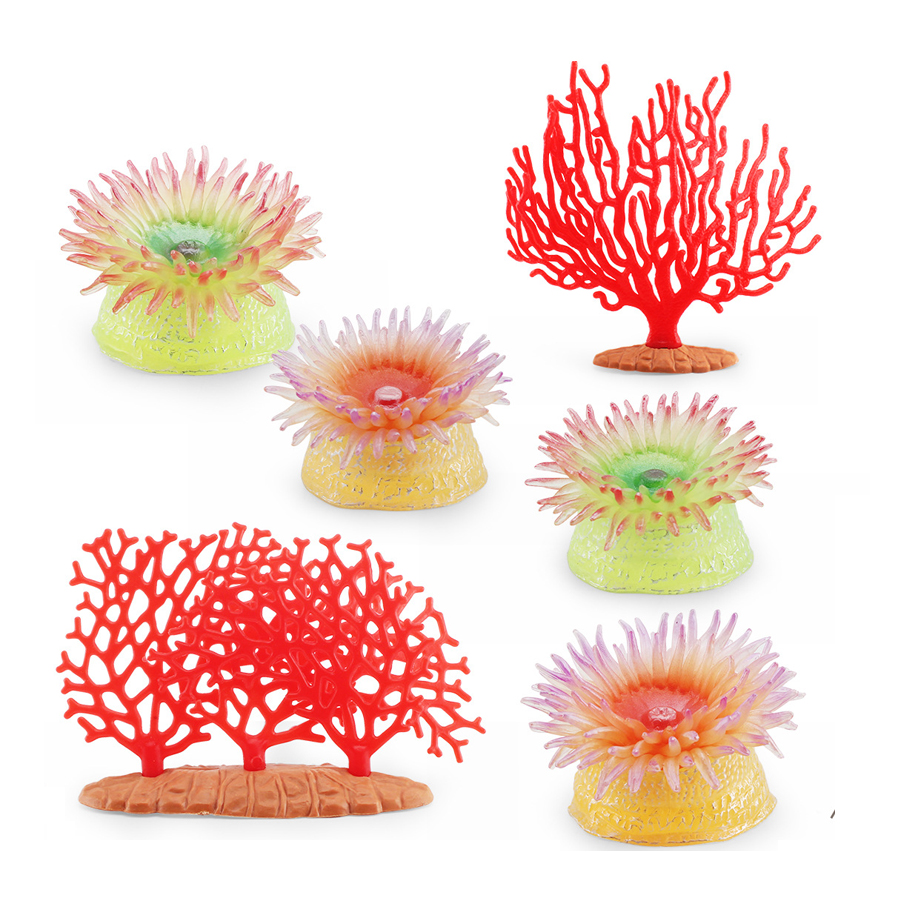 Kids Education Picture - Realistic Coral Sea Anemones Sea Life