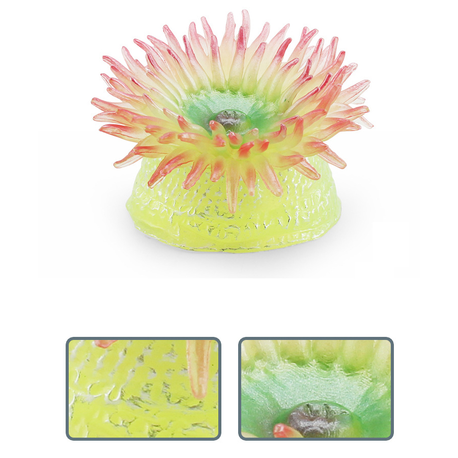 Realistic Coral Sea Anemones S - Kids Education Picture reseña y precio