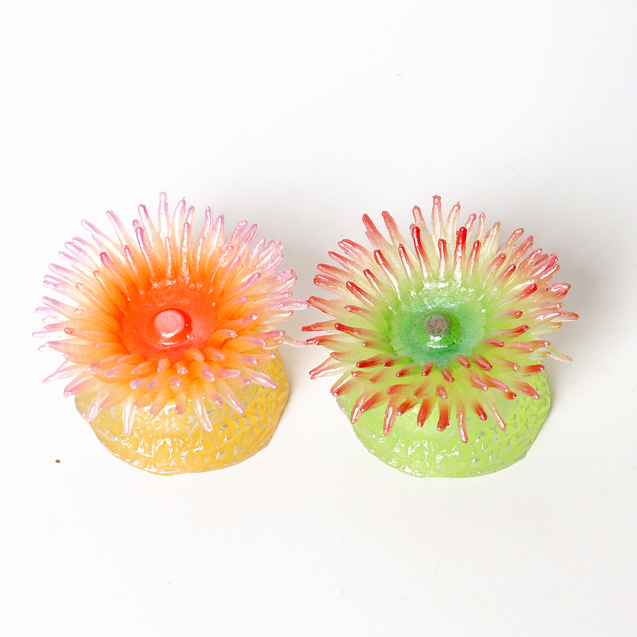 Realistic Coral Sea Anemones S - Kids Education Picture reseña y precio