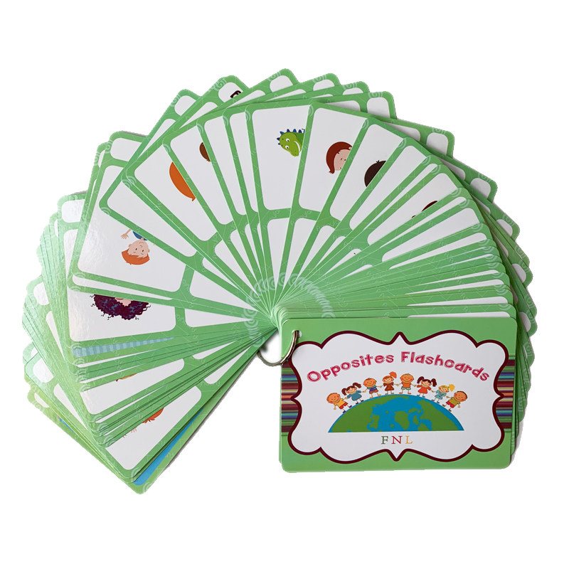 The 100 Groups Opposites Flash - Kids Education Toys reseña y precio