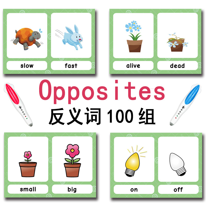The 100 Groups Opposites Flash - Kids Education Toys reseña y precio