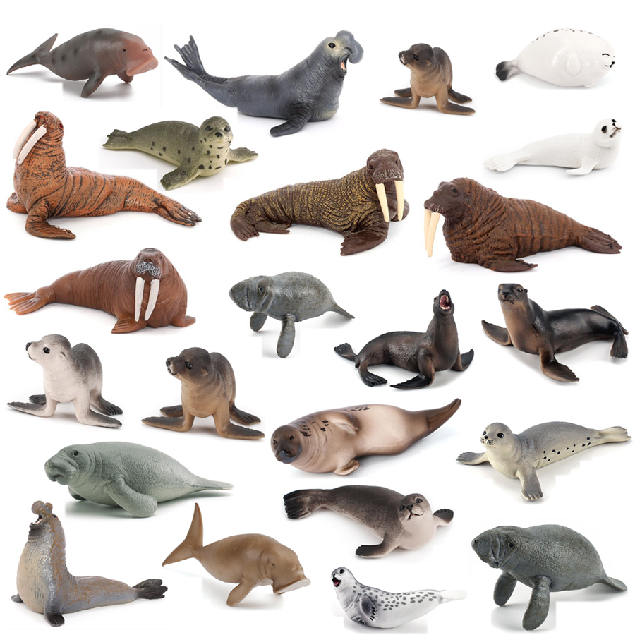 Realistic Dugong Manatee Walru - Kids Education Picture reseña y precio
