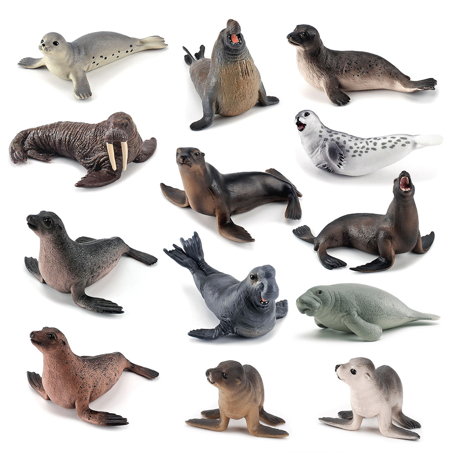 Realistic Dugong Manatee Walru - Kids Education Picture reseña y precio