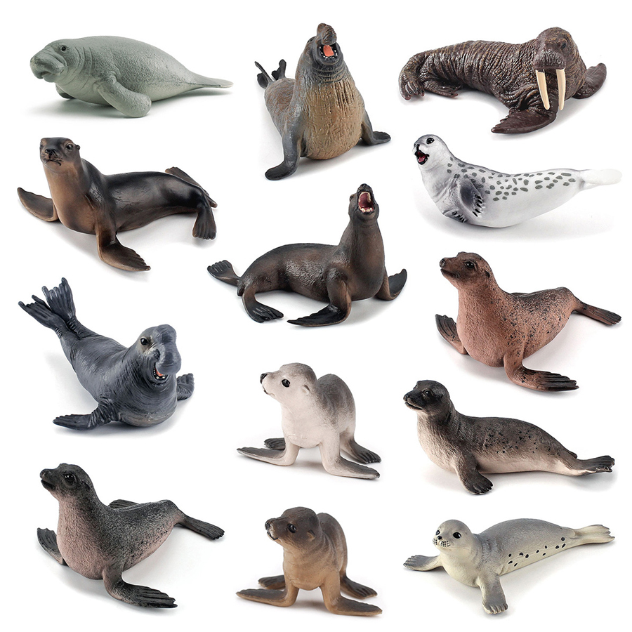 Realistic Dugong Manatee Walru - Kids Education Picture reseña y precio