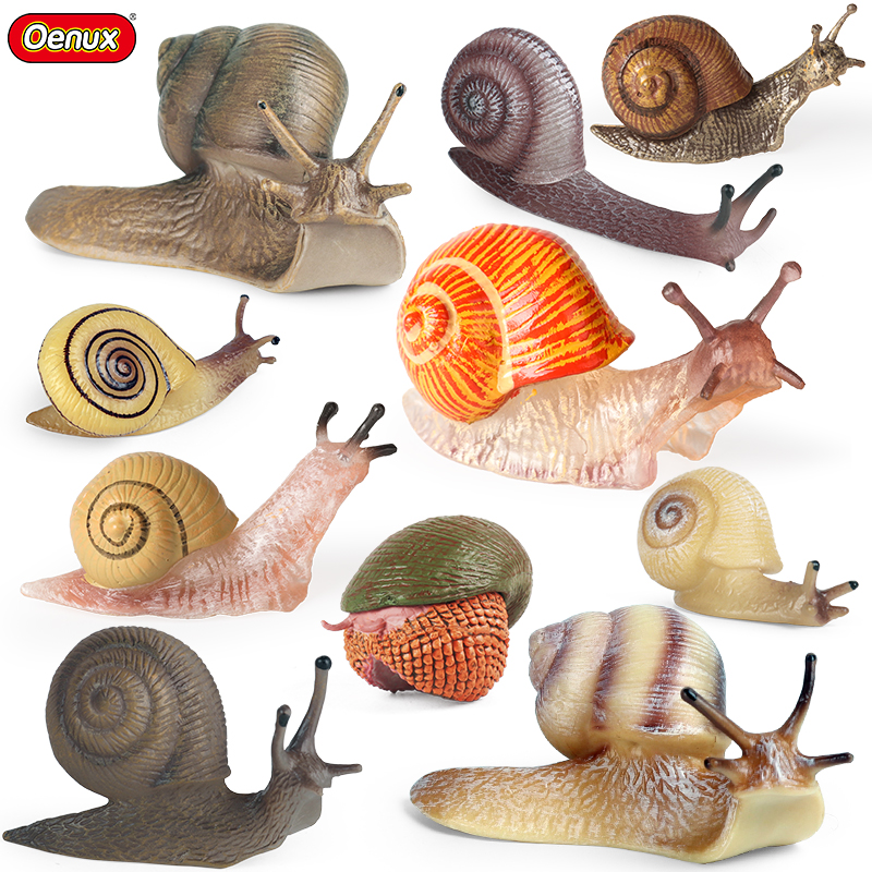 Oenux Wild Insect Animals Snai - Kids Education Picture reseña y precio
