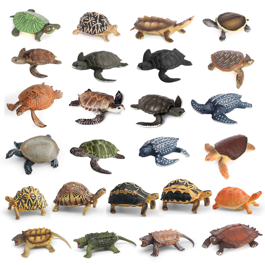 Simulation Chinese Softshell L - Kids Education Picture reseña y precio