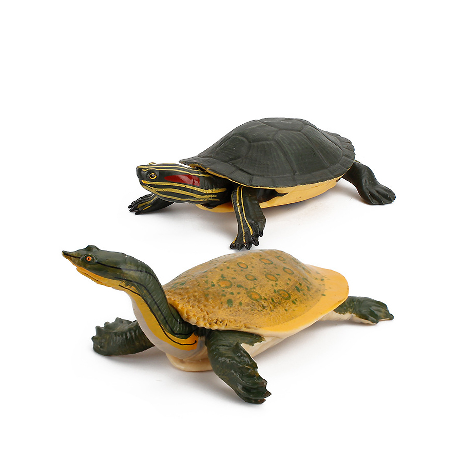 Simulation Chinese Softshell L - Kids Education Picture reseña y precio