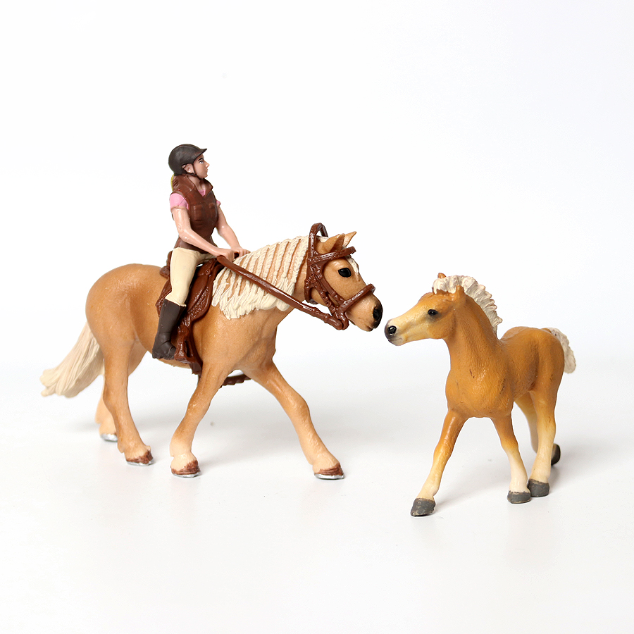 Realistic Trakehner Knabstrupp - Kids Education Picture reseña y precio