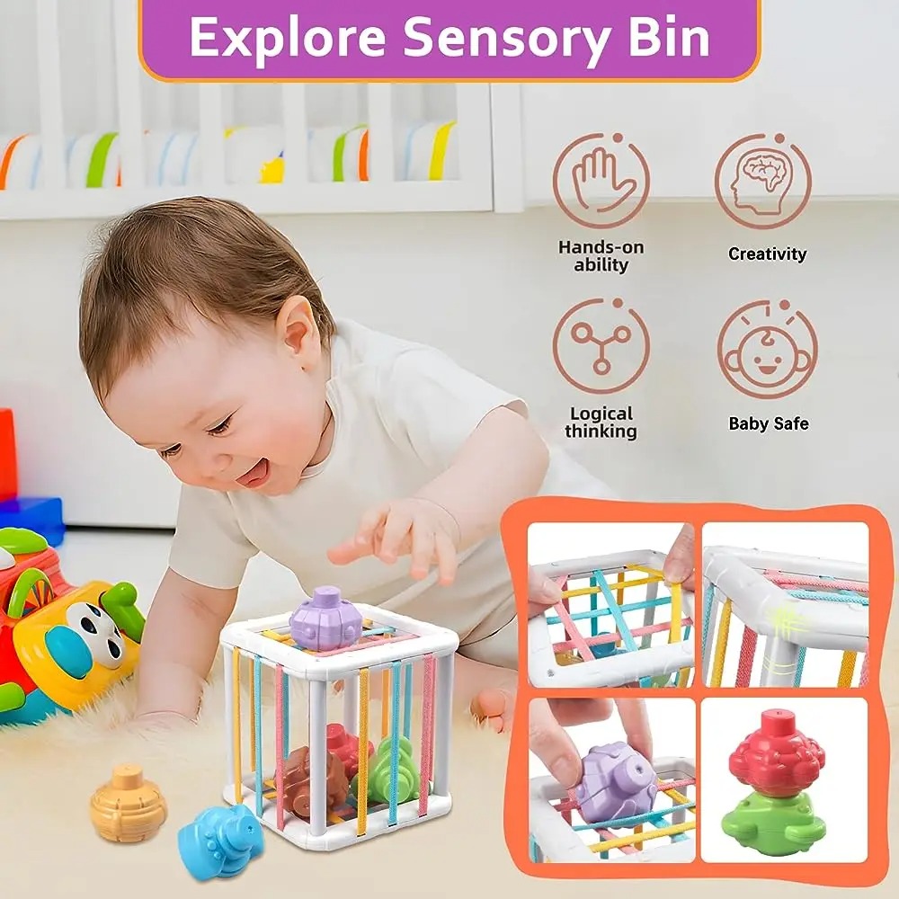 Rainbow Colorful Montessori Sh - Kids Education Toys reseña y precio