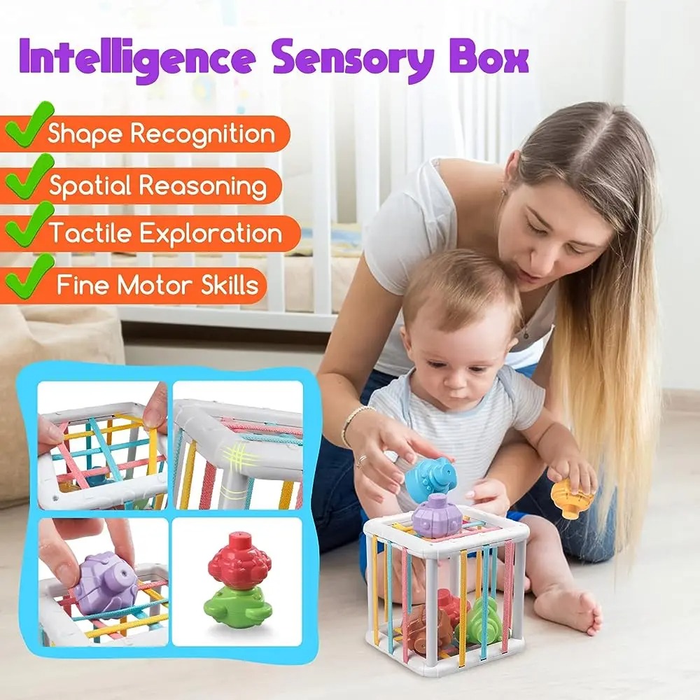 Rainbow Colorful Montessori Sh - Kids Education Toys reseña y precio