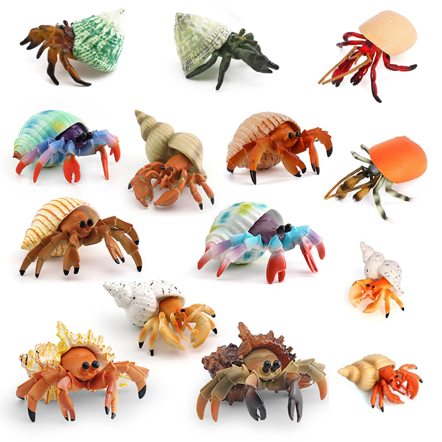 Realistic Hermit Crab Figurine - Kids Education Picture reseña y precio