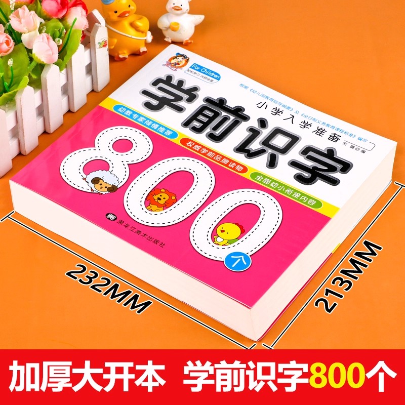 Preschool Literacy: 800 Chines - Kids Education In Us reseña y precio