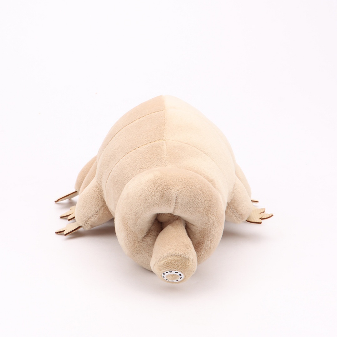Water Bear Tardigrade Plush To - Kids Education Movies reseña y precio