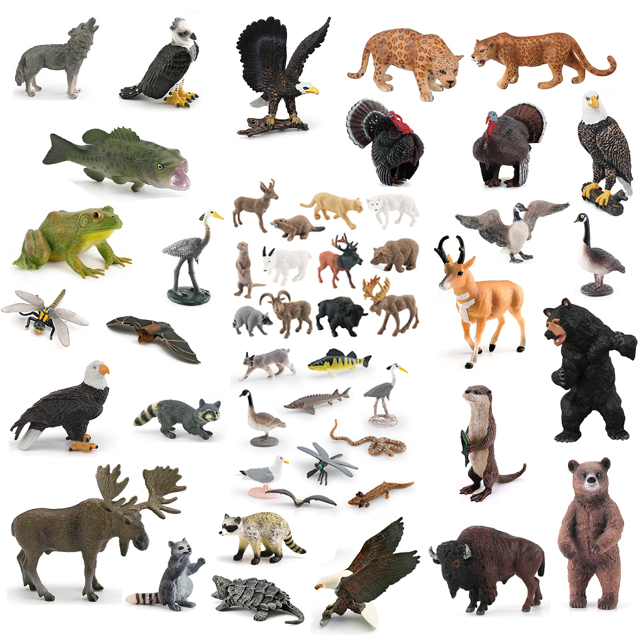 Realistic North American Anima - Kids Education Picture reseña y precio
