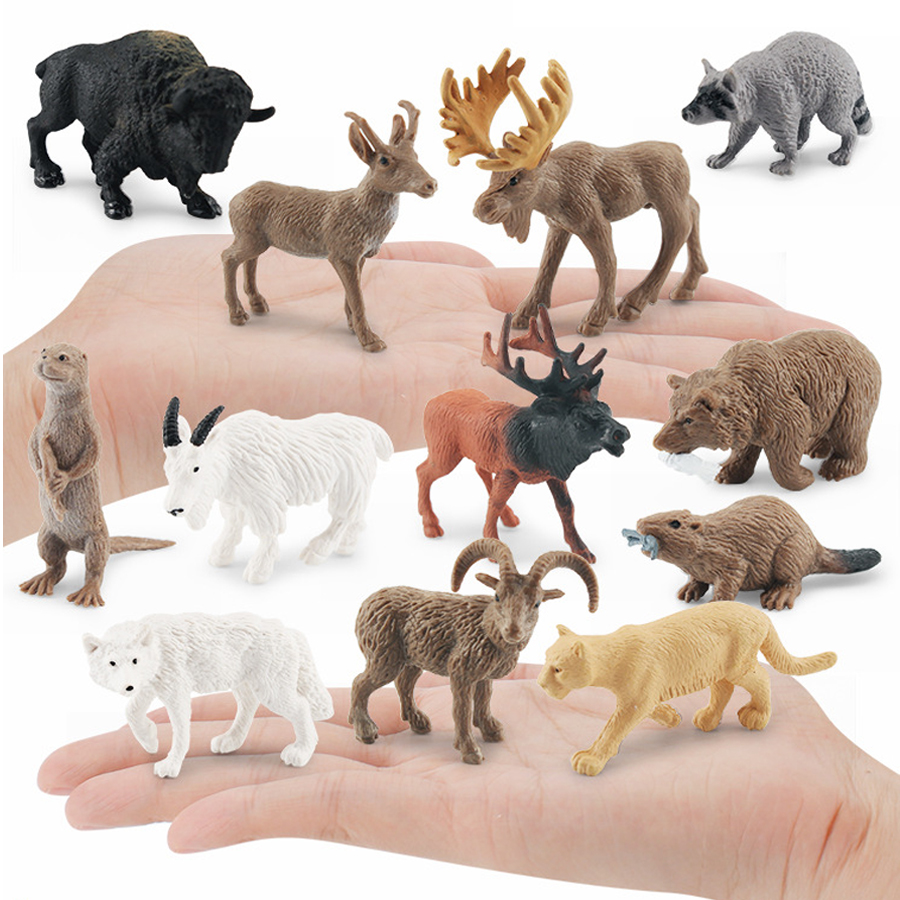 Realistic North American Anima - Kids Education Picture reseña y precio