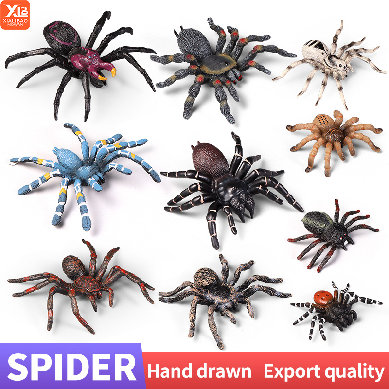 Educational Insect Spider Toys - Kids Education Learn Tv reseña y precio