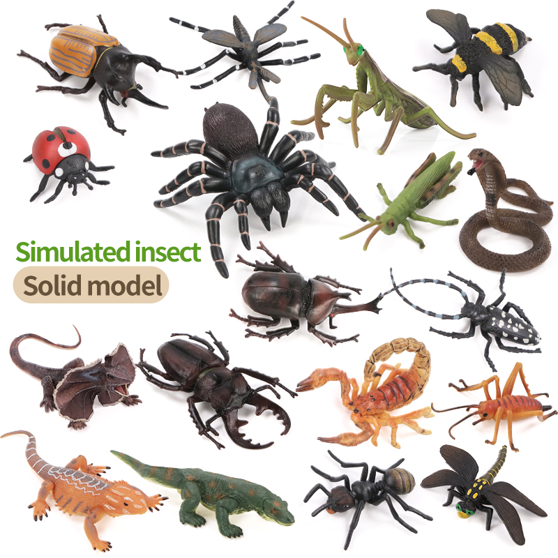 Educational Simulation Insect  - Kids Education Picture reseña y precio