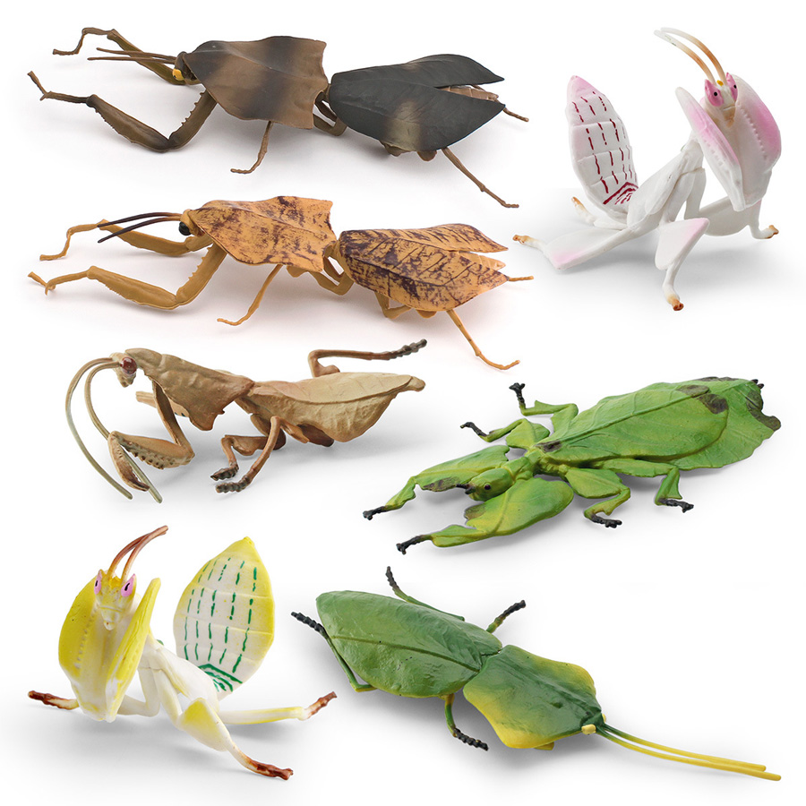 Realistic Orchid Mantis Dead L - Kids Education Picture reseña y precio