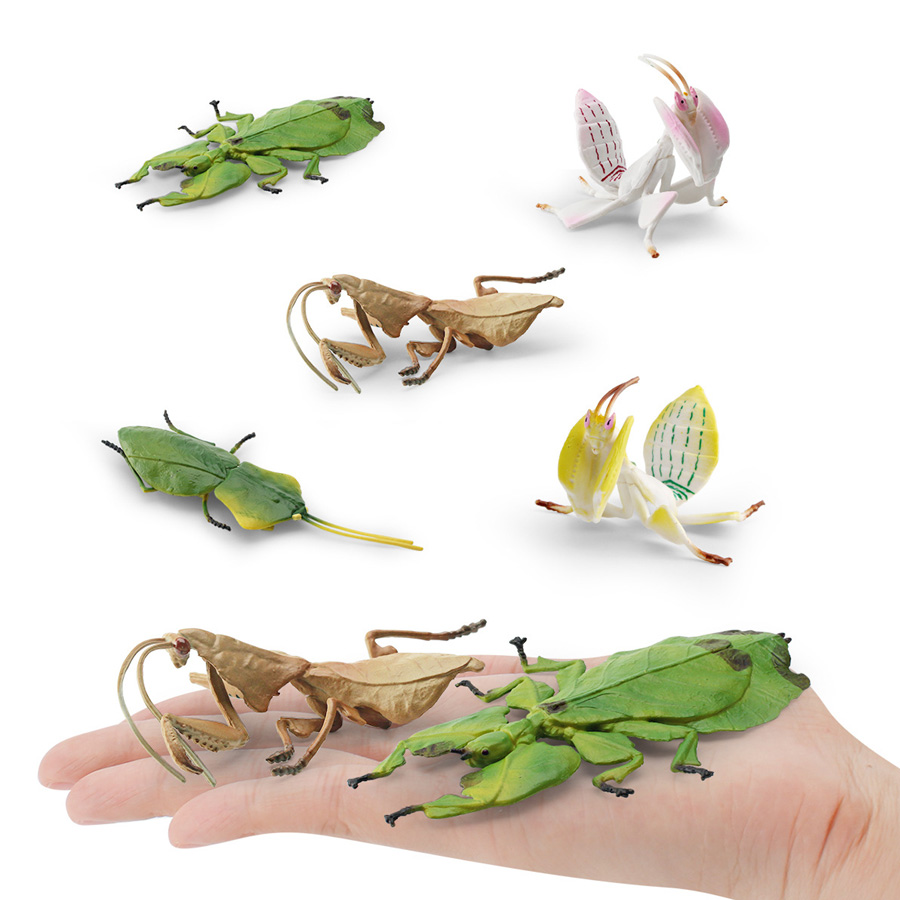 Realistic Orchid Mantis Dead L - Kids Education Picture reseña y precio